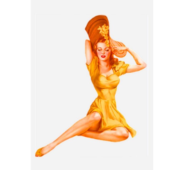 Pin Up Girls Retro Vintage Fashion Woman Pin-Up